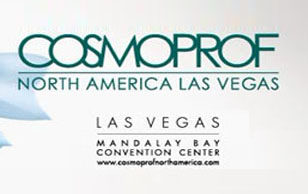 美国拉斯维加斯国际美容美发展